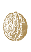 Logo Gouden Noot